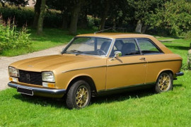 mousses, housses, selleries, soufflets, plages arrières, panneaux de porte, pour les véhicules de la marque 304 Coupé