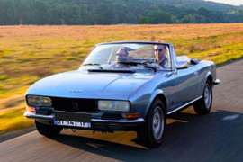 mousses, housses, selleries, soufflets, plages arrières, panneaux de porte, pour les véhicules de la marque 504 cabriolet Phase II - III