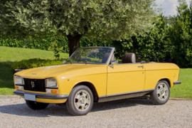 mousses, housses, selleries, soufflets, plages arrières, panneaux de porte, pour les véhicules de la marque 304 Cabriolet