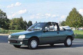 mousses, housses, selleries, soufflets, plages arrières, panneaux de porte, pour les véhicules de la marque 205 Roland Garros Cabriolet